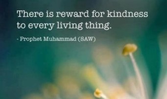 12385_10151617100151204_218261441_n-e1365212341928