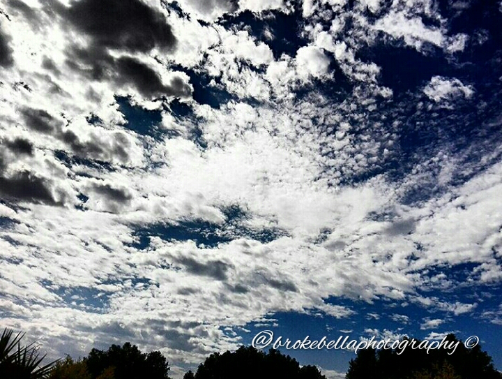 IMG_20160104_110927_wm