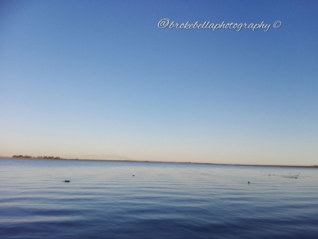 brokebellaphotography 13