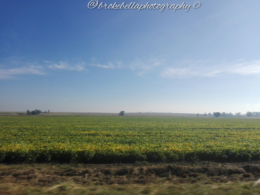 brokebellaphotography 2