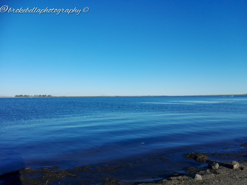 brokebellaphotography 7