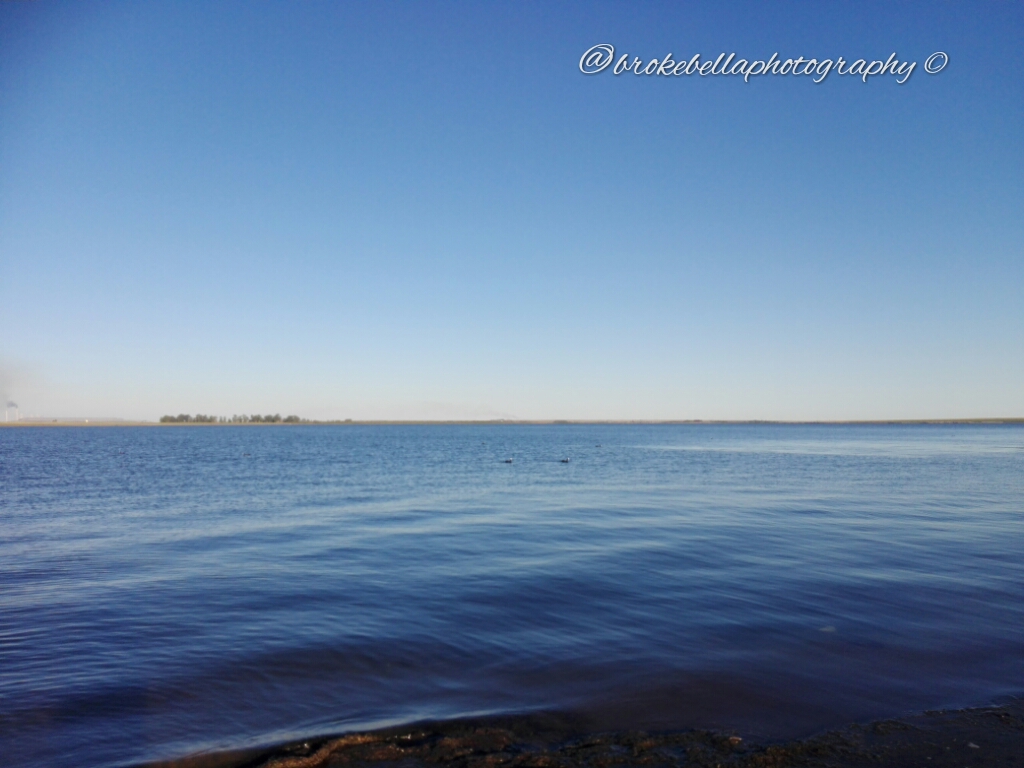 brokebellaphotography 8