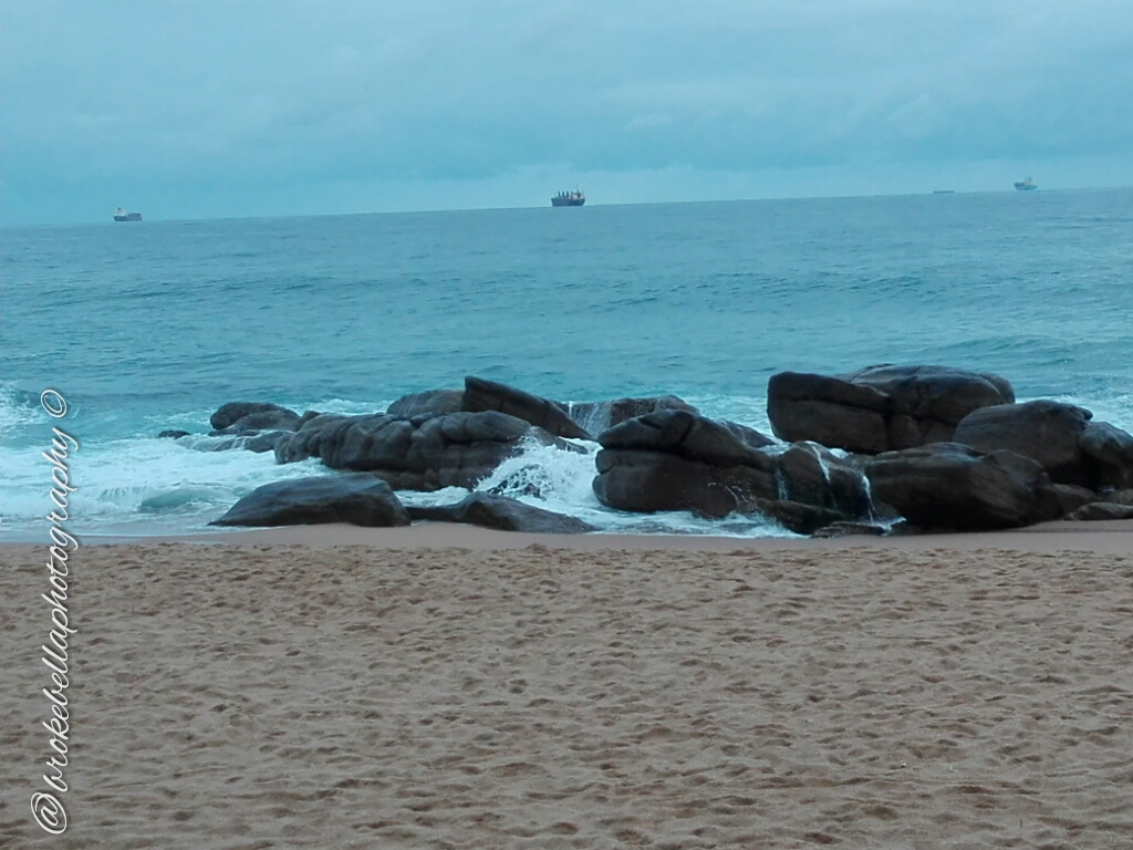 Black Cat, Blue Sea&nbsp;Award