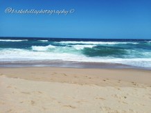 IMG_20160127_062955_wm